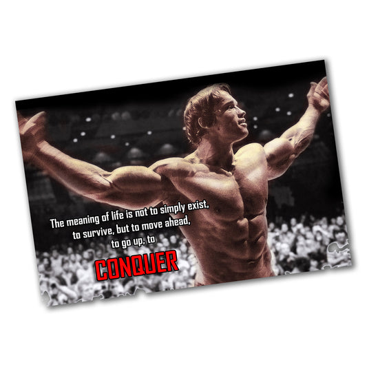 PO-080 Poster - Weightlifting Arnold Schwarzenegger Quote