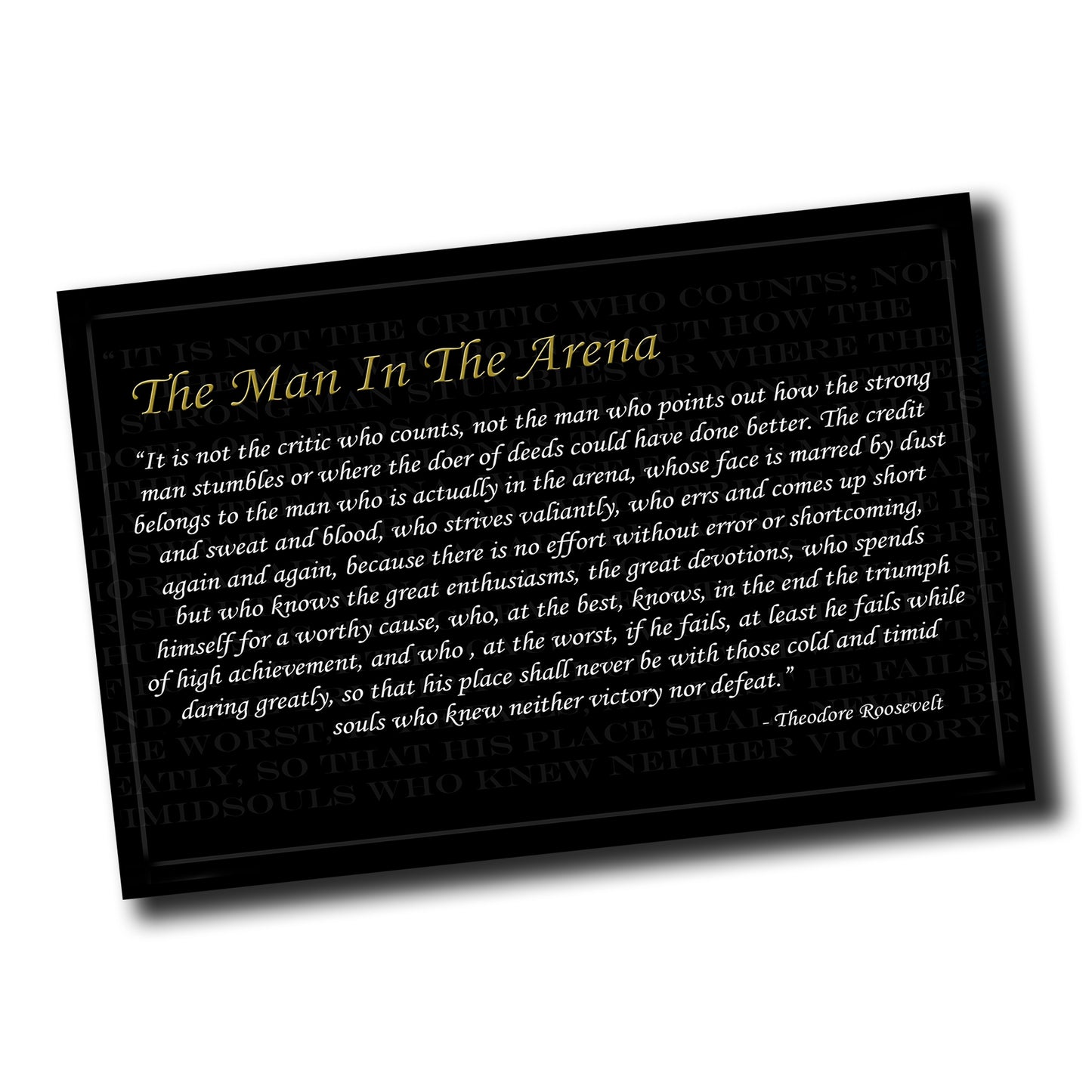 PO-084 Poster - The Man In The Arena By Theodore Roosevelt Teddy