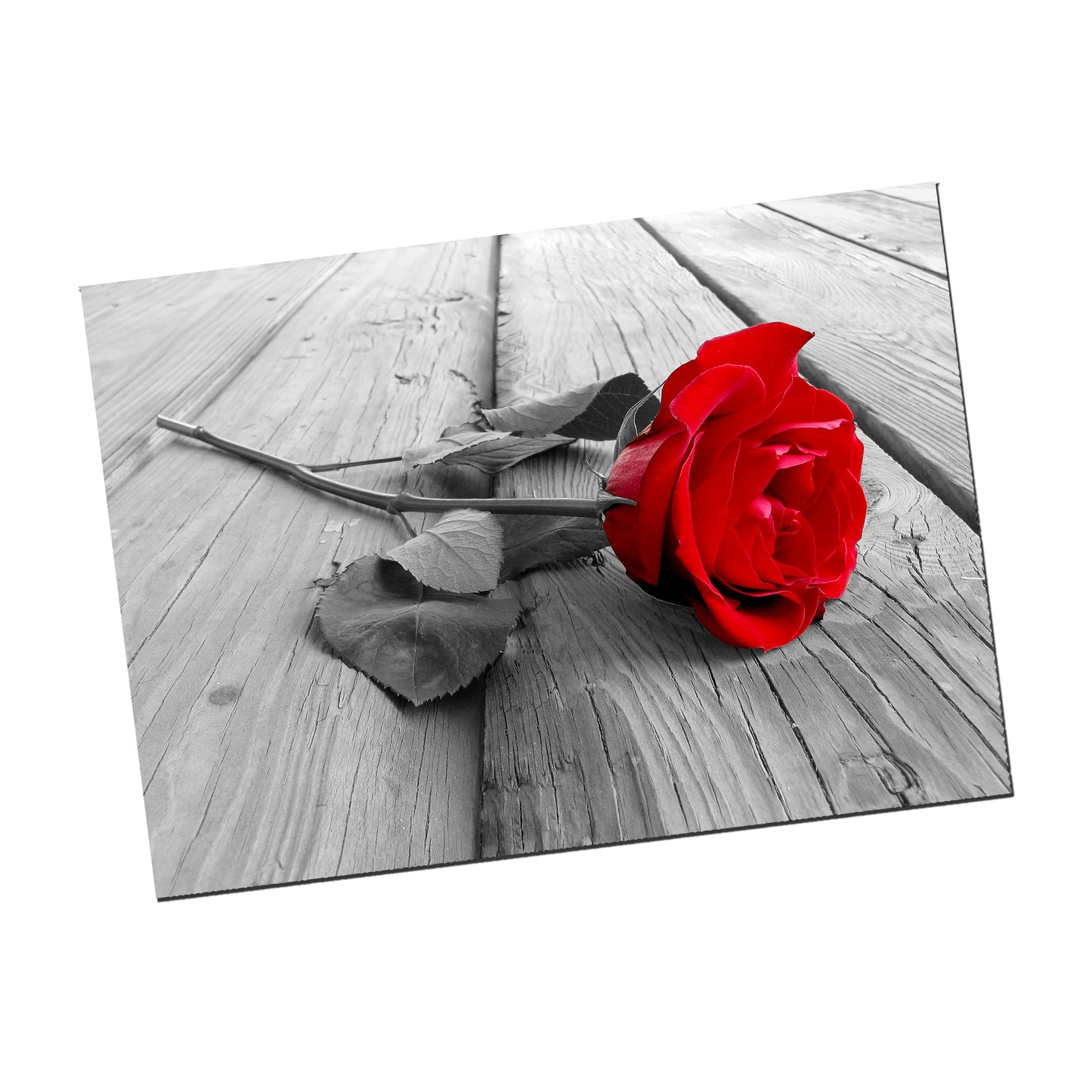 PO-099 Poster - Novelty Single Red Rose on the Floor