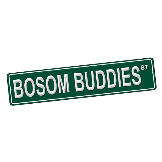 SI-STR-234 Street Sign - TV Bosom Buddies Design
