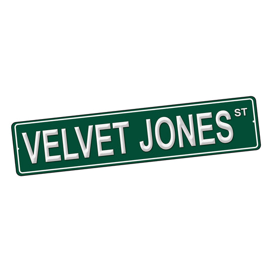SI-STR-245-13 Street Sign - TV SNL Velvet Jones Design