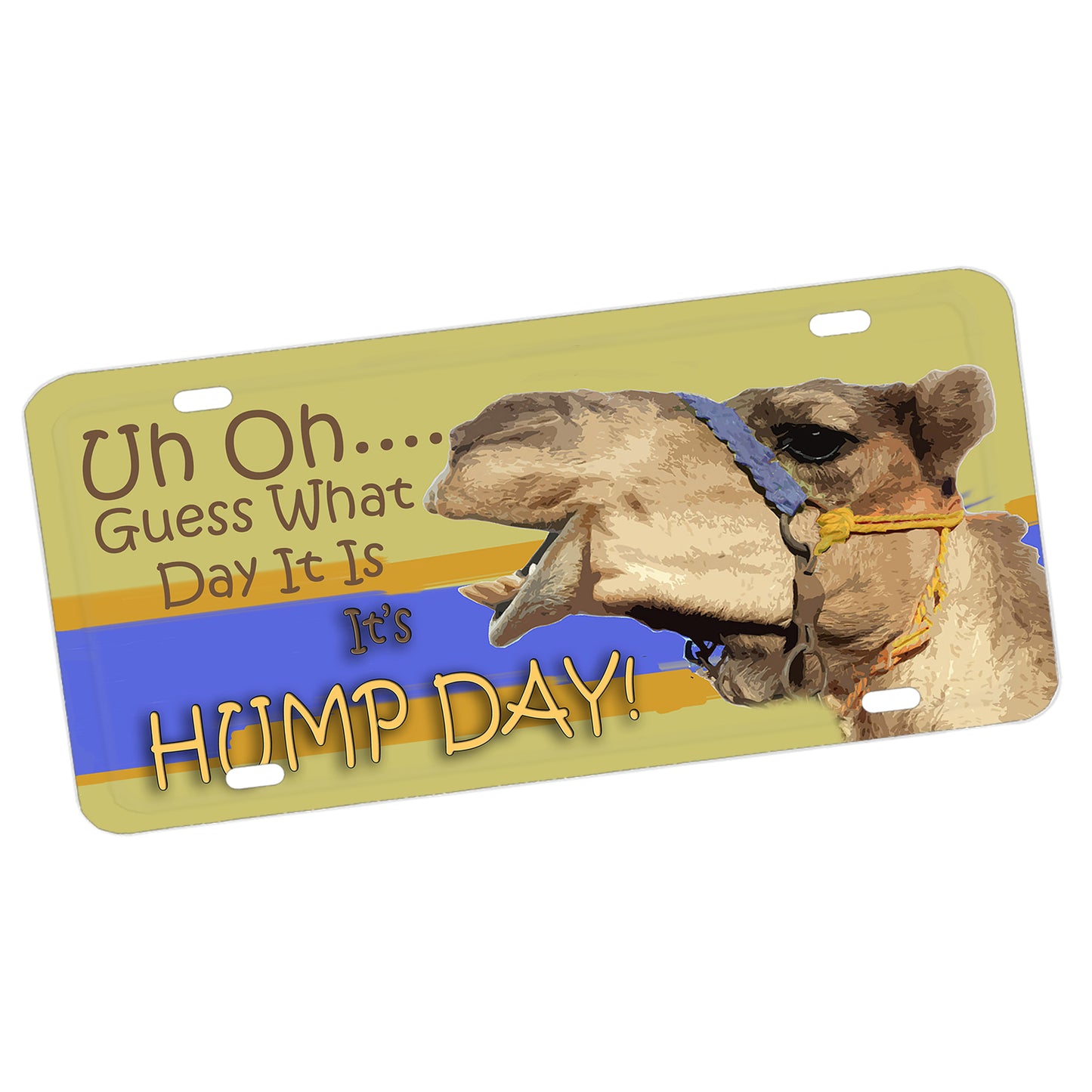 LP-002 License Plate - What Day Is It, It's Hump Day Camel Design