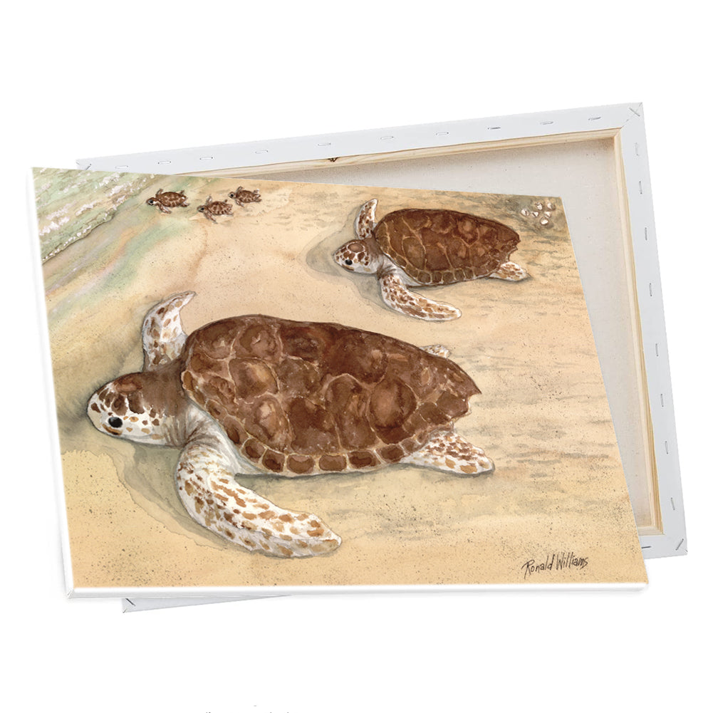 Wall Art - Ronald Williams Sea Turtles On The Beach