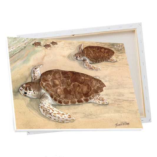 Wall Art - Ronald Williams Sea Turtles On The Beach