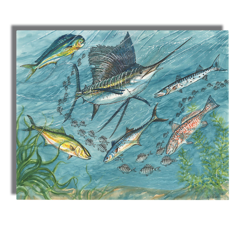 Wall Art - Ronald Williams Billfish