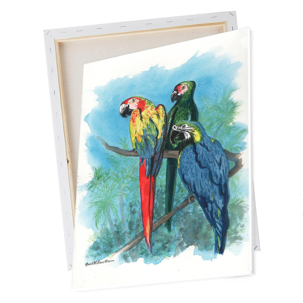 Wall Art - Ronald Williams Birds Parrots