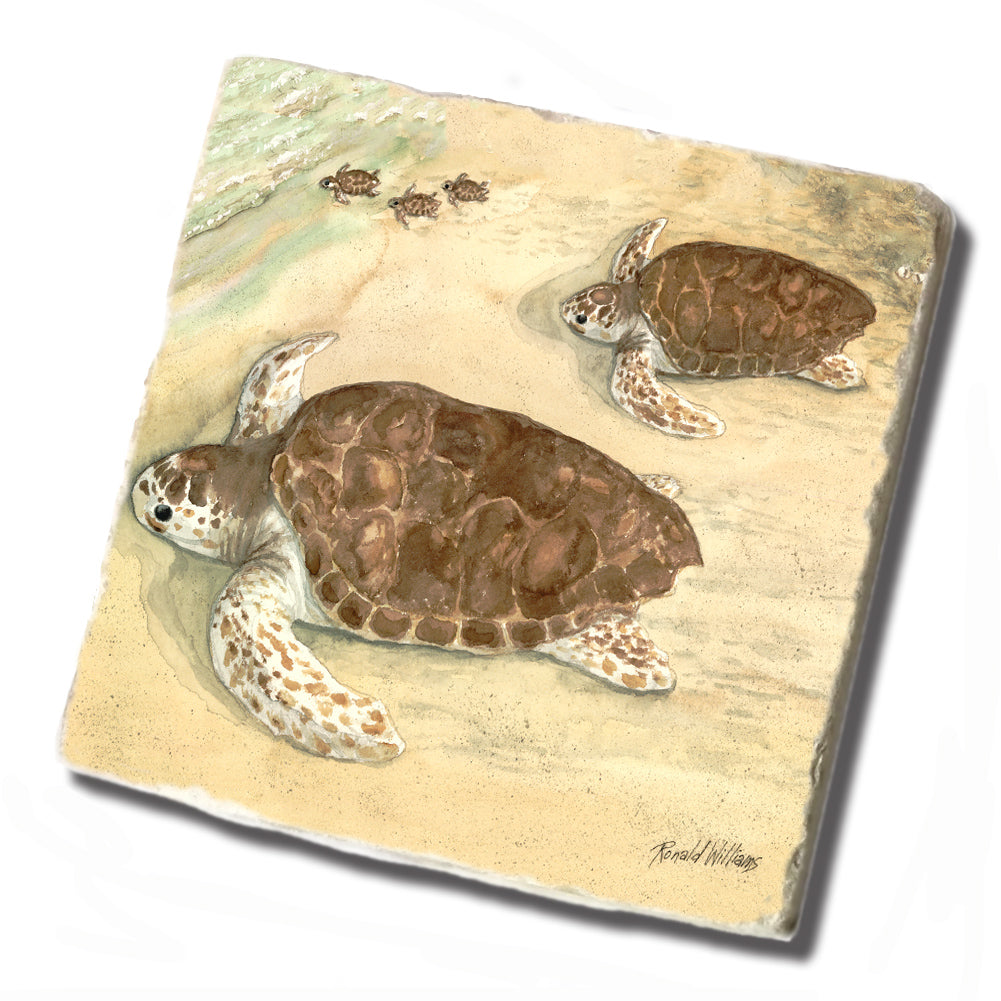 Tile Coaster - Ronald Williams Turtles On The Beach