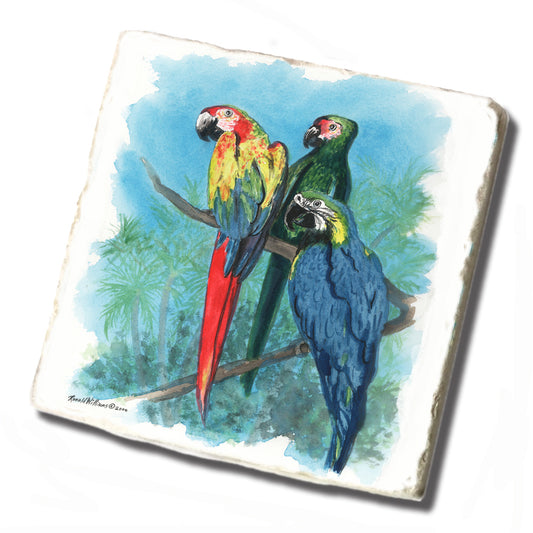 Tile Coaster - Ronald Williams Parrots