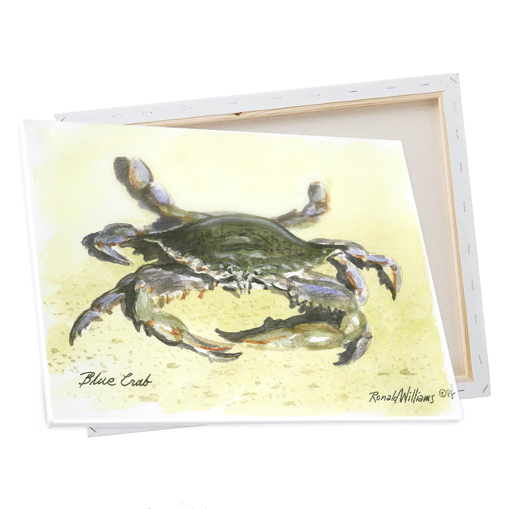 Wall Art - Ronald Williams Blue Crab