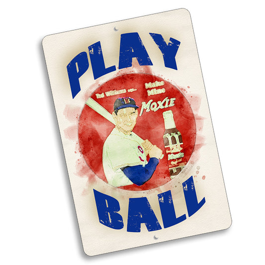 Novelty Sign 8x12 - Moxie Soda Play Ball Baseball Design