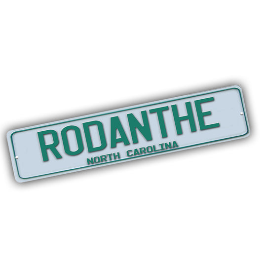 Street Sign 4x18 - The Outer Banks Green White Rodanthe NC