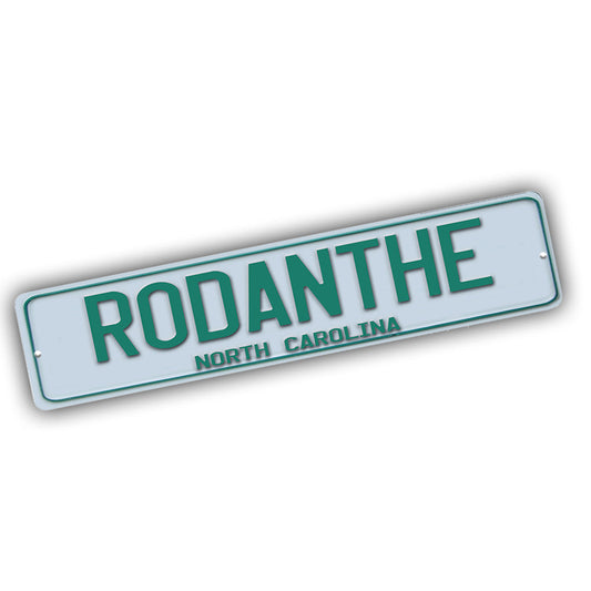 Street Sign 4x18 - The Outer Banks Green White Rodanthe NC