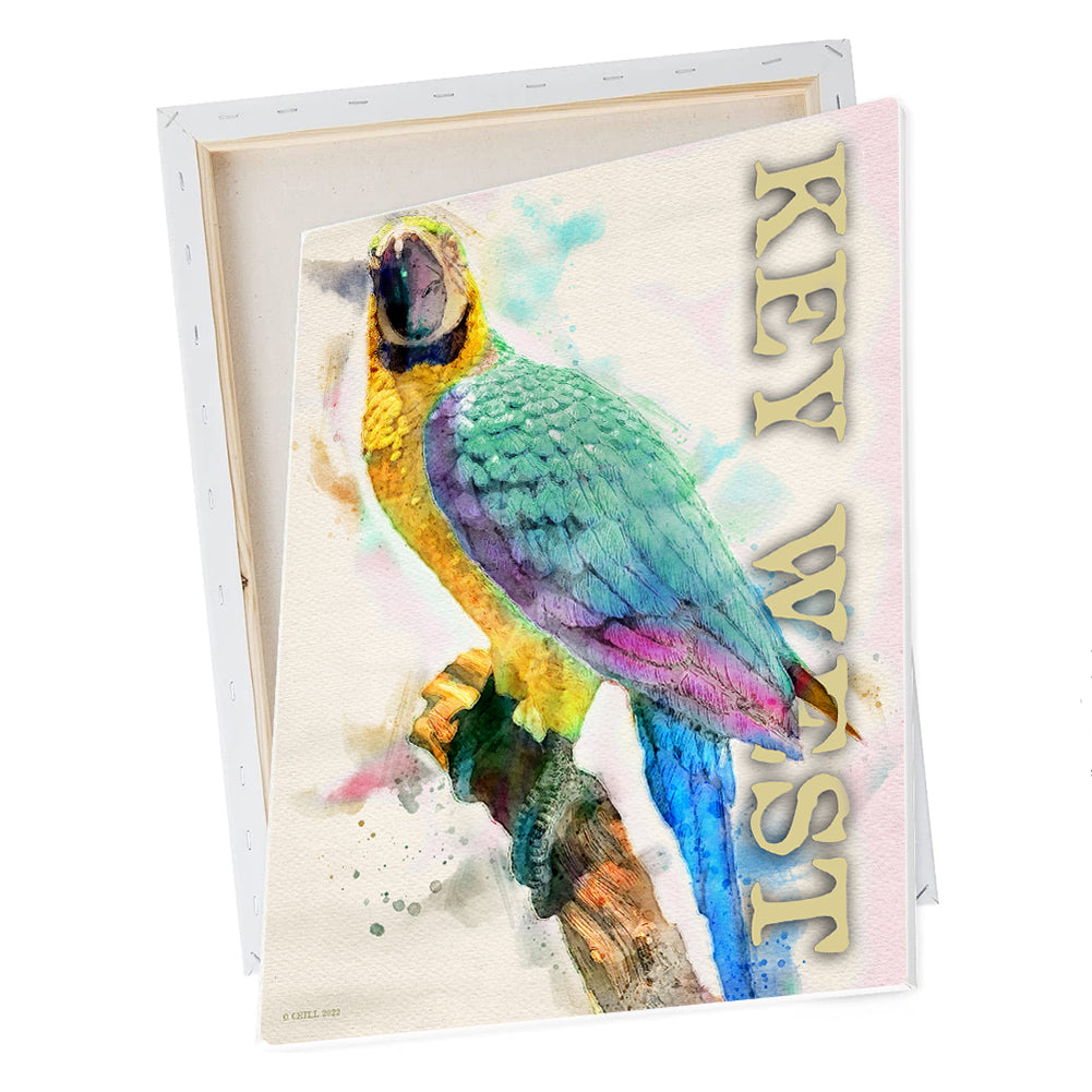 Wall Art - Key West Colorful Watercolor Parrot Design