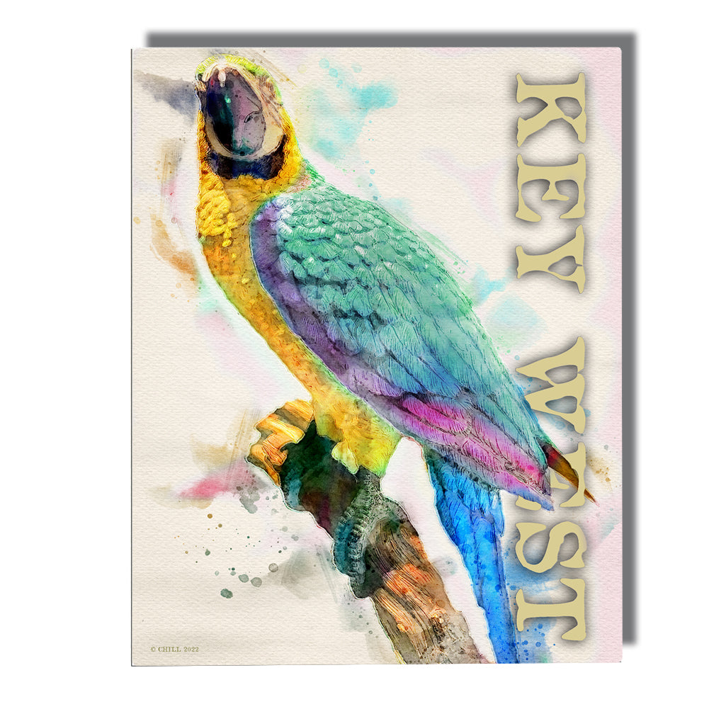 Wall Art - Key West Colorful Watercolor Parrot Design